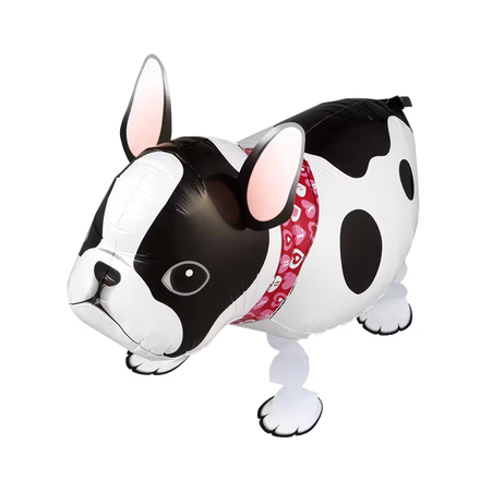 Laufender Airwalker Ballon in Form einer Französischen Bulldogge in Schwarz-Weiß.