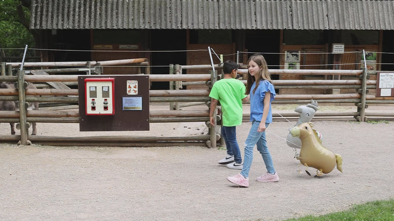 Video mit Kindern und verschiedenen Airwalker Ballons auf einem Bauernhof